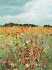 Summers Brightest Art Print