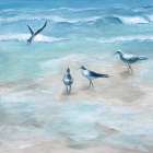 Gulls II Art Print