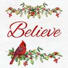 Believe Art Print
