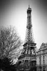 Eiffel Twilight