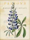 Blue Lupine Art Deco Print