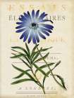Blue Sunflower Art Deco Print