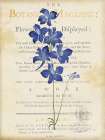 Blue Delphinium Art Print