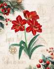 Joyeux Noel Amaryllis Art Print