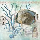 Archipelago Fish II Art Print
