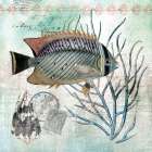 Archipelago Fish III Art Print