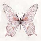 Blushing Wings I Art Print