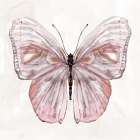 Blushing Wings II Art Print