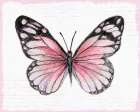 Vintage Pink Flutter II Art Print