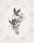 Botanical And Lace I Art Print
