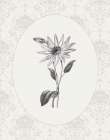 Botanical And Lace II Art Print