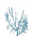 Blue Sea Coral II Art Print