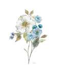Botanical Blues II Art Print