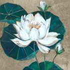 Lotus I Floral Print