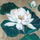 Lotus II Art Print