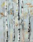 Birchwood Morning I Art Print