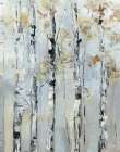 Birchwood Morning II Art Print