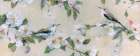 Songbirds And Blushing Blooms I Art Print