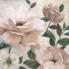 Sunshine Blooms II Art Print