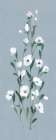 Summer Sprigs II Art Print