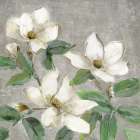 Glimmering Magnolias I Art Print