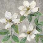 Glimmering Magnolias II Art Print