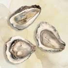 Oysters I Art Print