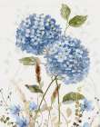 Hydrangea Allure I Art Print
