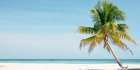 Goff Caye Art Print