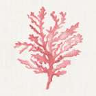 Haven Coral I Art Print
