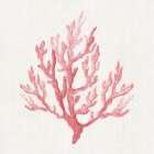 Haven Coral II Art Print