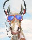 Play My Music Donkey Art Print