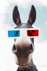 Donkey in 3D