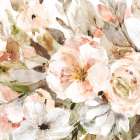 Sweet Ranunculus II Art Print