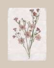 Floral Decoupage I Art Print