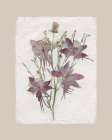 Floral Decoupage II Art Print