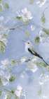 Birds and Blooms II Art Print