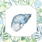 Coastal Shell I Art Print