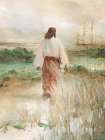 He Follows the Light Art Print