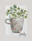 Herbs And Wildflowers Parsley Art Print