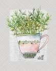 Herbs and Wildflowers Dill Art Print