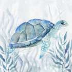 Sea Turtle I Art Print