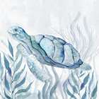 Sea Turtle II Art Print