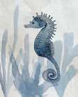 Seahorse in Blue II Art Print