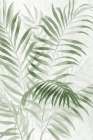 Island Palms I Art Print