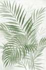 Island Palms II Art Print