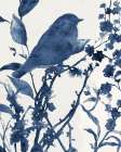 Bluebird Silhouette III Art Print