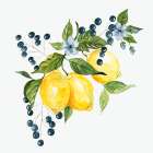 Providence Lemons I Art Print