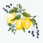 Providence Lemons II Art Print