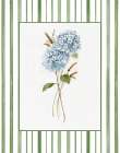 Spring Hydrangea I Art Print
